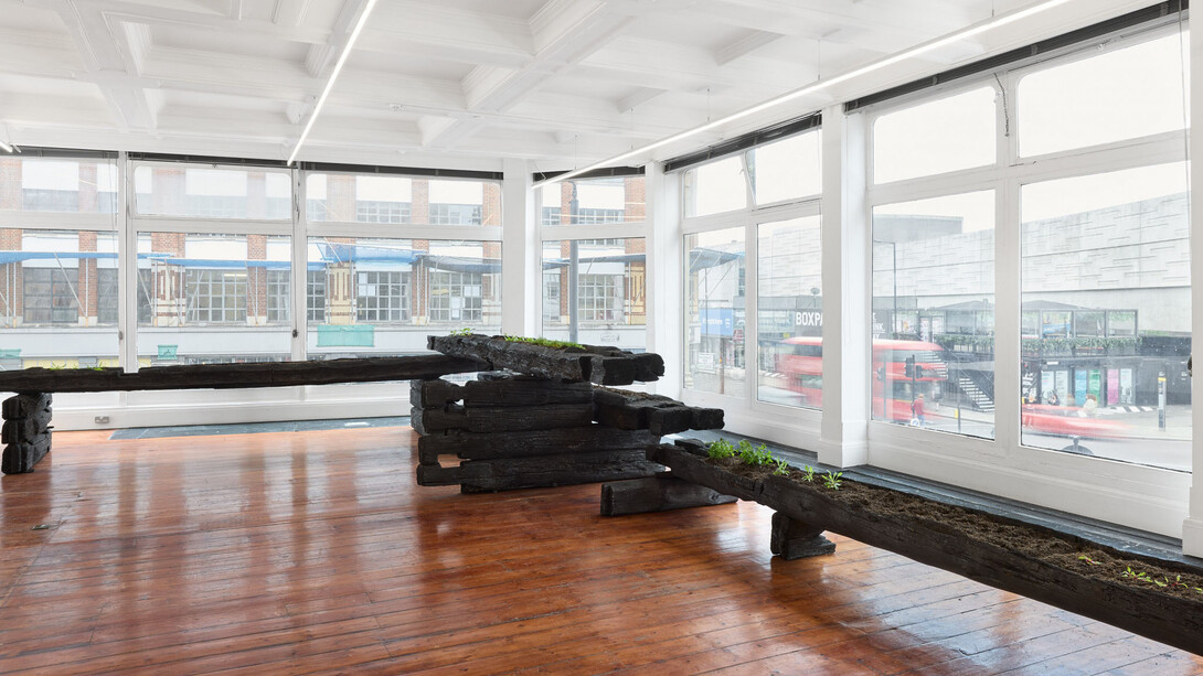 Augustas Serapinas, Potatoes and chamomile, exhibition view. Courtesy of Emalin Gallery