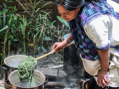 Patricia Guzmán Ruíz dyeing wool with zacatlaxcalli/dodder (Cuscuta tinctoria) and añil/indigo (Indigofera suffruticosa) in San Juan Cancuc, Chiapas. Courtesy of Weltmuseum Wien © Carlos Barrera Reyes