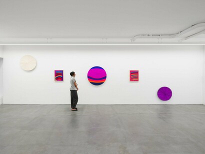 Samantha Thomas, Love in a mist, exhibition view. Courtesy of Anat Ebgi Gallery
