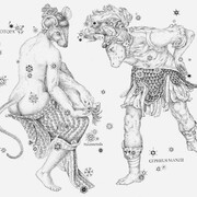 Fosca, Cassiotopa, 2021-2022. Per gentile concessione di Maja Arte Contemporanea