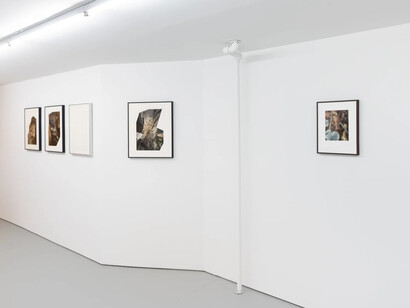 Assaf Evron, If a butterfly ever saw an owl, exhibition view. Courtesy of Osmos Gallery