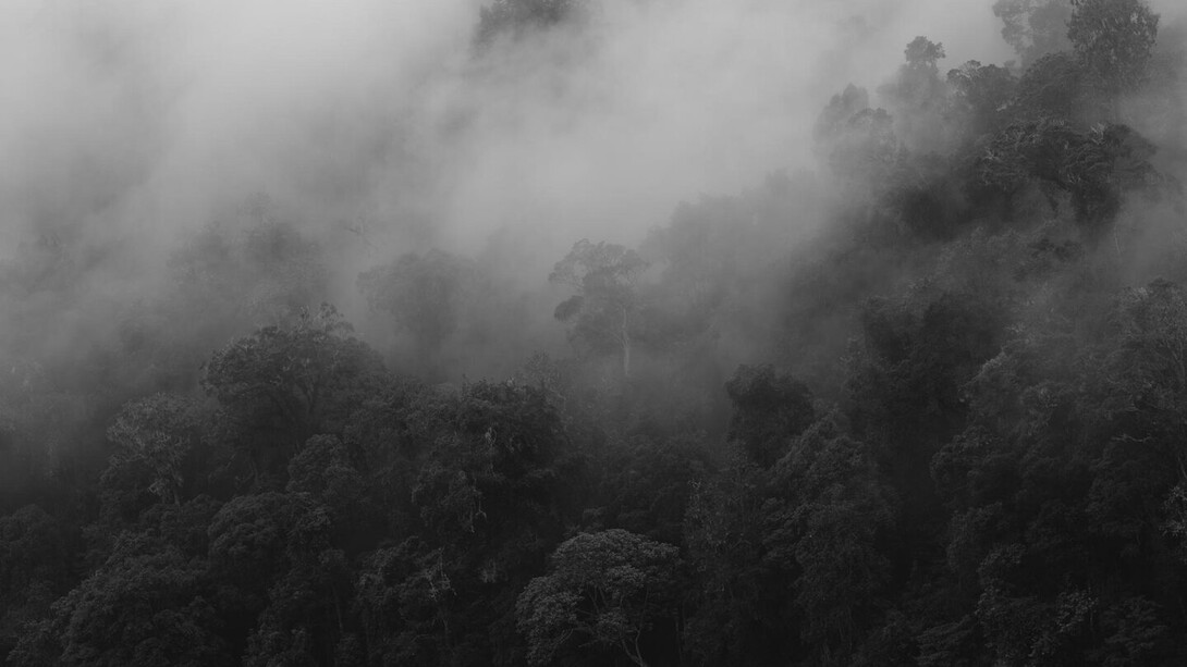 Ludwig Spaude, 0438 – Unter dem gleichen Himmel (detail), 2025. Courtesy of Galerie Albrecht