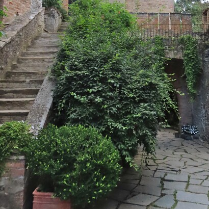 Il Castello di Gropparello si trova in Emilia-Romagna ed è immerso in uno spettacolare paesaggio naturale, arroccato su uno sperone roccioso sopra un canyon. Gropparello, Emilia-Romagna, Italia