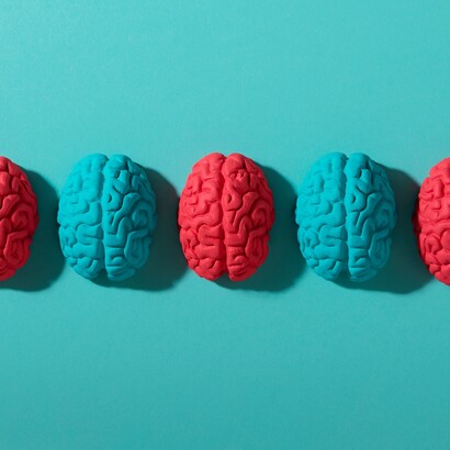 La Legge di Wolff applicata al cervello suggerisce: se non usi certe capacità cognitive, le perdi progressivamente