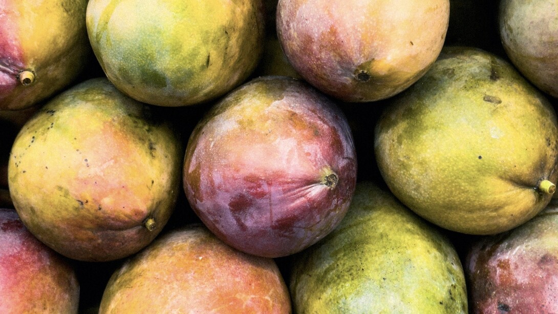  Ce fruit savoureux est devenu un véritable pilier économique pour le pays
