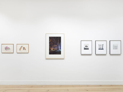 Verschiedene künstler, Sommergärten. Gartenbilder in malerei und fotografie heute, ausstellungsansicht. Mit freundlicher genehmigung der Galerie Albrecht