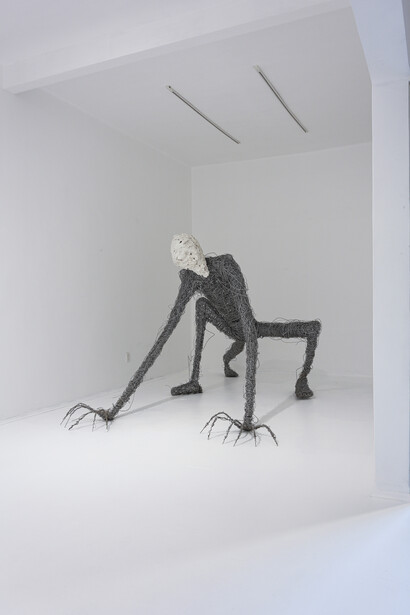 Serena Creciente, Delirio óseo (Osseous delirium), exhibition view. Courtesy of Hilario Galguera Gallery