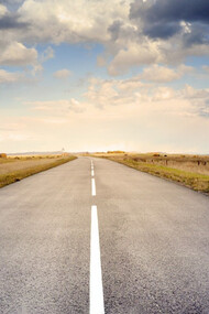 Strada asfaltata. Il signor Southgate e Dik si stiracchiarono contemporaneamente e, poco prima di partire per la passeggiata, guardando verso il versante opposto rimasero entrambi stupefatti. Di fronte alla casa, infatti, una lunghissima strada asfaltata tagliava in due il confine della contea e la campagna finendo nel nulla come una retta implacabile partita chissà dove