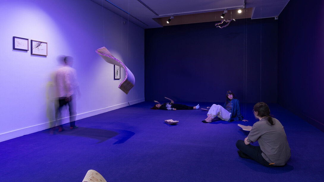 Santiago Díaz Escamilla, Nunca fue solo aquí (era, ya en otra parte), vista de exhibición. Cortesía de Casas Riegner