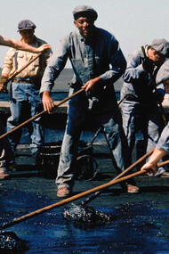 Um Sonho de Liberdade é mais do que uma história sobre um homem preso injustamente; é uma profunda reflexão sobre esperança, resiliência e a busca por liberdade, mesmo em meio à injustiça e à corrupção que o cerca