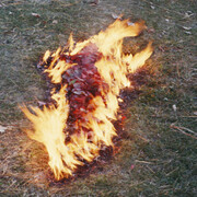 Ana Mendieta, Untitled: silueta series, 1977. Courtesy Marian Goodman 
Gallery © The Estate of Ana Mendieta Collection, LLC 