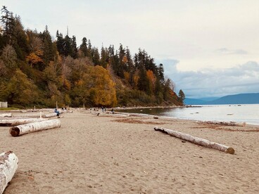 A view of Point Grey from Wreck Beach, Vancouver, Canada