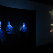 Various artists, If you're afraid of wolves, you may go to the woods, exhibition view. Courtesy of Galerie 35M2. Photo by Kristýna Opálková