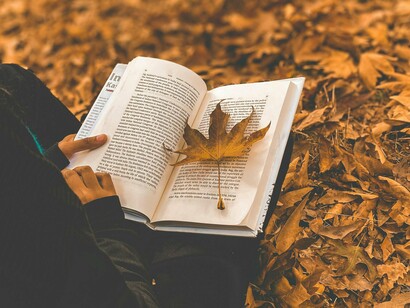 É o mundo sob o signo de “Era uma vez…” que as rotas buscam organizar mnemonicamente e sistematizando informação da biografia dos autores e dos universos das personagens. A rota alemã, criada nos anos 1970, entretece os lugares da biografia dos irmãos Grimm, os mais vinculados aos contos (quer por lá terem tido origem, quer por neles se terem inspirado) e os que os celebram com actividades