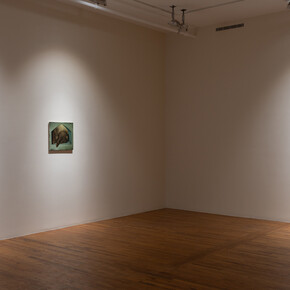 Lewis Hammond, The rabbits, exhibition view. Courtesy of 47 Canal