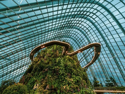 Singapore glasshouse filled with vibrant trees, illustrating the future of green building and sustainable architecture