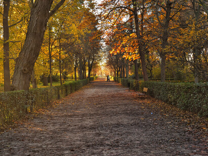 La historia del Parque del Retiro comienza en tiempos de los Reyes Católicos, cuando los monjes Jerónimos trasladan a las cercanías del Prado el Monasterio de Santa María del Paso, fundado por Enrique IV en 1464. Otoño en Parque del Retiro, Madrid, España