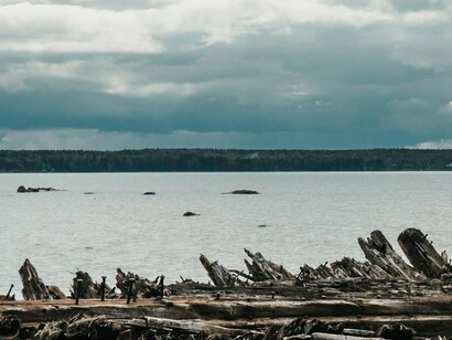 Ao vê-la, sua reação foi fortíssima. Internamente ele não se queixava pelo fato de a mulher estar fisicamente diferente, mas sim por estar tão debilitada. Abraçou-a com todo o amor e todo o carinho que guardara para ela nos dez anos em que não a vira. Ambos choraram, e o povo que ali estava também chorou. Jean-Pierre pediu a bênção à mãe e a abraçou também
