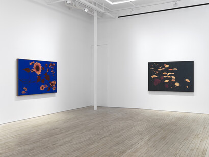 Alexandria Tarver, Dedicated to the low in heart, exhibition view. Courtesy of Nino Mier Gallery