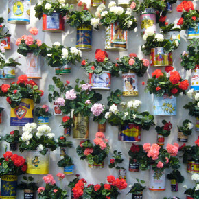 Pilar Albarracín, Muro de Geranios (detail), 2005. Courtesy of Galerie Vallois