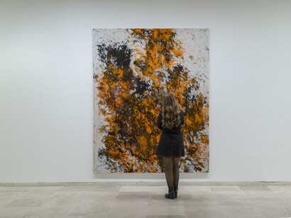 Carlos León, Suite Dánae, vista de exhibición. Cortesía del Museo Patio Herreriano