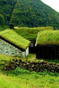 The typical icelandic houses with their grass roofs