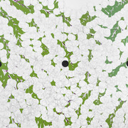 Donald Sultan, White mimosa with three anomalies March 10 2025 (detail), 2025. Courtesy of McClain Gallery 