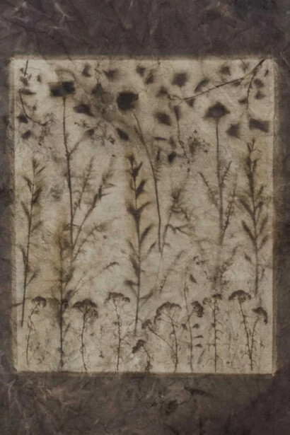 Sam Falls. Courtesy of Tomio Koyama Gallery 