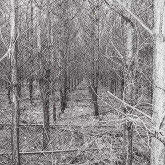 New acquisitions in the art collection of Galeria Bielska BWA. Courtesy of Galeria Bielska BWA