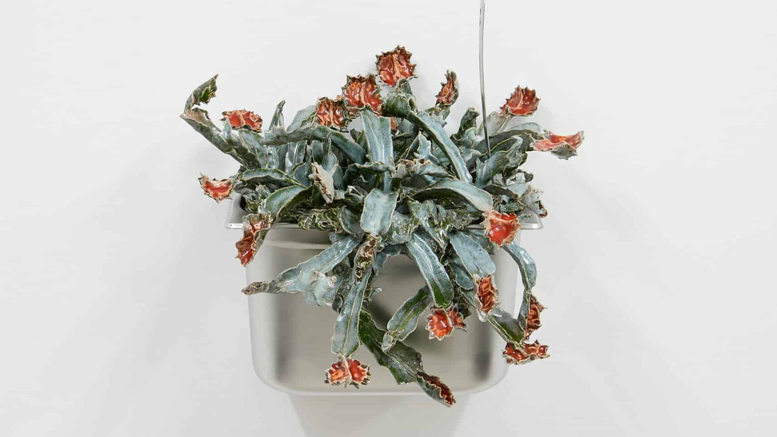 Gerrit Frohne-Brinkmann, Carnivores. Courtesy of Beige Gallery