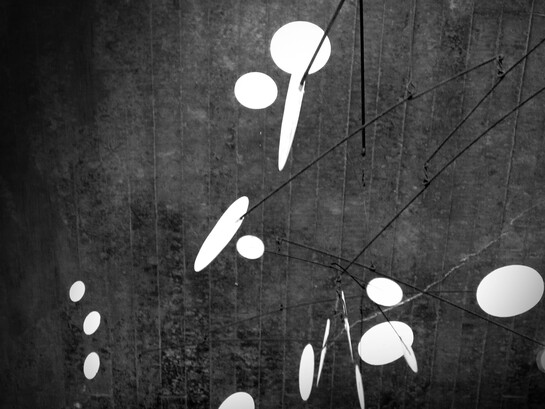 Colgante en el techo de una de las facultades de la Universidad Central de Venezuela. Fotografía de Ángel Raúl Ravelo Rodríguez