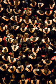 The US University