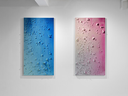 Anders Bülow and Johanne Rude Lindegaard, Hazy, exhibition view. Courtesy of Formation Gallery