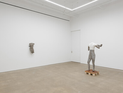 Yu Ji, Origin of the tiger, exhibition view. Courtesy of P·P·O·W