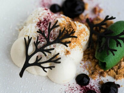 Un dessert magnifiquement servi sur une assiette comprenant du chocolat, de la glace et de la sauce aux baies
