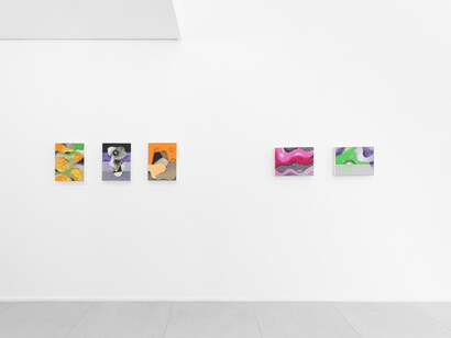 Antonio Malta Campos, Opalescent, exhibition view. Courtesy of Simões de Assis Gallery