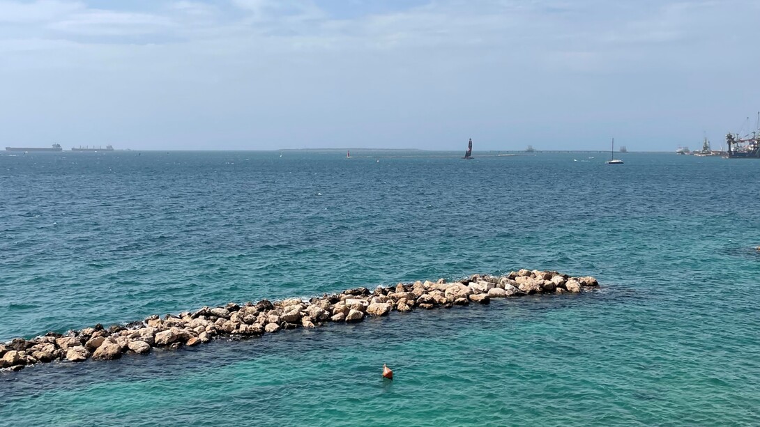 Le cozze di Taranto sono note per la loro qualità, legata alle caratteristiche ambientali dello Ionio e del Mar Piccolo, dove crescono in acque salmastre. Corso due Mari, Taranto, Puglia, Italia