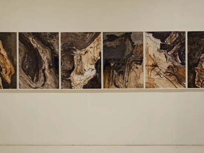 Vishal Kumar Gupta, Field notes (On the afterlife of trees), exhibition view. Courtesy of Emami Art