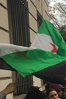 Manifestación frente a la embajada de Rusia en París, Francia, 2016