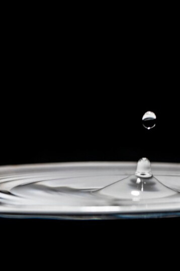 A delicate water droplet glistens in a monochrome composition
