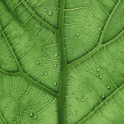 È la scelta quotidiana di abitare il tempo con mitezza, senza strapparlo alla sua naturale lentezza