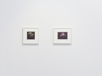 Kunié Sugiura, Boundaries and coexistence, exhibition view. Courtesy of Taka Ishii Gallery 