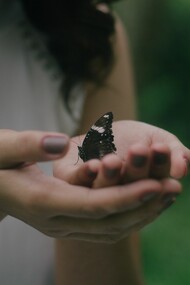 La esencia de un insectario: el contacto entre personas e insectos