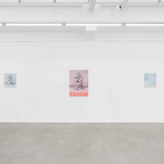 Marcel Berlanger, La disparition des limicoles, vue d'exposition. Avec l'aimable autorisation de la galerie Rodolphe Janssen