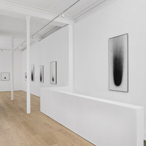 Dove Allouche, Chnops, exhibition view. Courtesy of Peter Freeman, Inc.