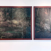 Edo Costantin, Winter solstice: seeds of nothingness, exhibition view. Courtesy of Praxis