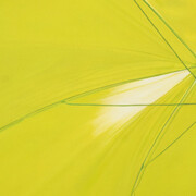 Marcel Vidal, Umbrella (detail), 2025. Courtesy of Kerlin Gallery