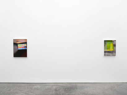 Dike Blair, exhibition view. Courtesy of Karma Gallery