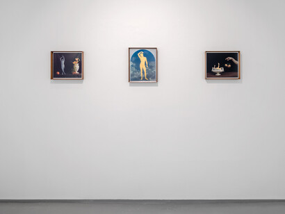 Strauss Louw, Faggots, follies and fantasies, exhibition view. Courtesy of Whatiftheworld