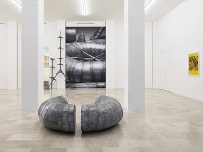 Ana Lupas, Armature, exhibition view. Courtesy of P420 